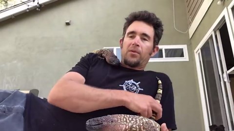 Deadliest Monster Lizards: How to Survive Them