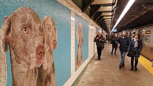 How to Use the NYC Subway: A Complete How-To Guide With Maps For Tourists