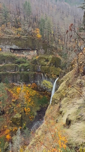 43K views · 965 reactions | Where the trail meets the sky, Upper McCord Creek Trail offers breathtaking sights of Elowah Falls and the Columbia River stretching to Washington. ️ #AdventureAwaits #PNWBeauty #WaterfallMagic | Francis Explores Nature | Facebook