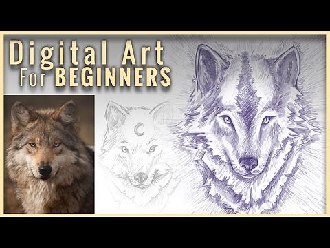 How To Draw A Wolf | Digital Art For Beginners