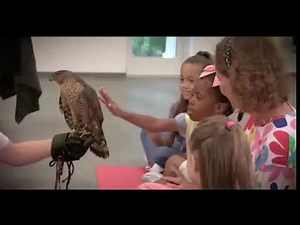 Kidvision Pre-K Has a Brand New Website Promo (2025)