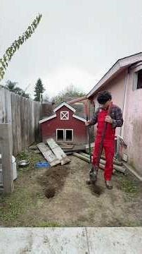 Building a DIY kennel for two abandoned puppies until I find them a home. #diy #dog #shorts #love