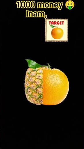 pojo ,,,,,,,,,,,,,,,,,,,,,,,