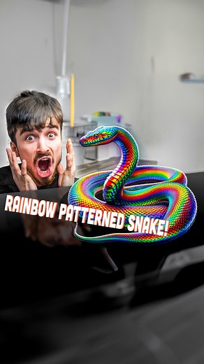 43K views · 862 reactions | Rainbow Snake?! - The Most Beautiful Snakes in the World! | Brian Barczyk | Facebook