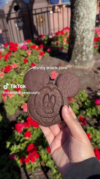 Mickey Shaped Disney Snacks You Must Try