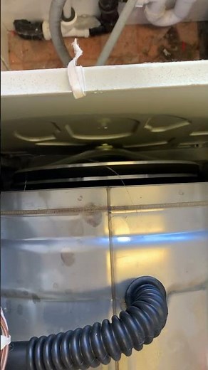 Miele washing machine failed bearings