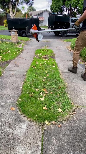 Satisfying Lawn Care Transformations