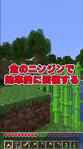 【初心者vs上級者】食料を食べるときの違い【マイクラ】【Minecraft】【小技】【小ネタ】#shorts