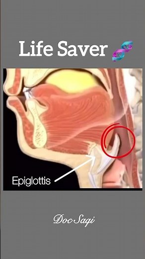 How Epiglottis works During Swallowing| #anatomy #swallowing #health #shorts #shortsfeed #trending