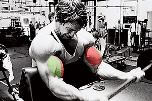 Outer Bicep Workout (How To Build Peak) 7 Best Exercises