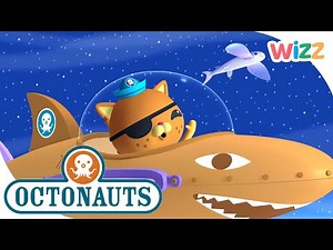 ‪@Octonauts‬ - The Mysterious Sea Creature? | Wizz | Cartoons for Kids