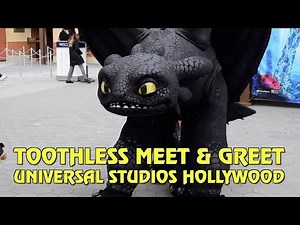 Toothless Meet & Greet at Universal Studios Hollywood
