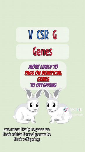Understanding the Process of Evolution in 70 Seconds