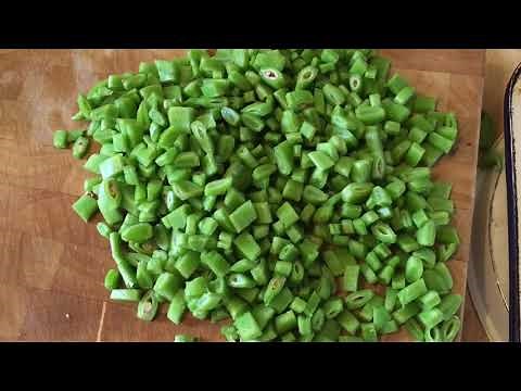 The easiest way to store runner beans - no blanching - no special equipment