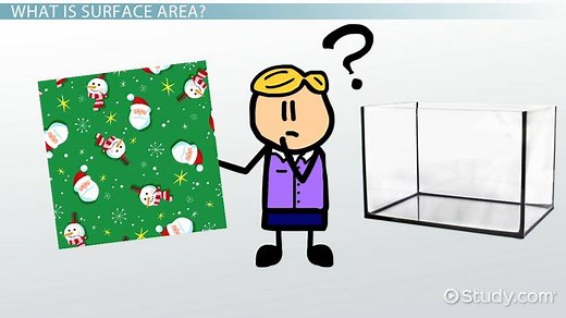 Lateral & Surface Area of a Prism | Formula & Examples