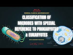 Classification Of Microbes With Special Reference to Prokaryotes & Eukaryotes | BMLS