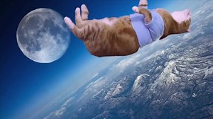 50K views · 2.9K reactions | Keyboard Cat Spaces Out! | Keyboard Cat | Facebook