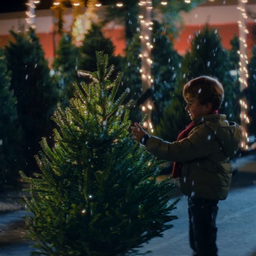 The right tree finds you 🎄✨ Visit your local Home Depot to find yours today. | The Home Depot