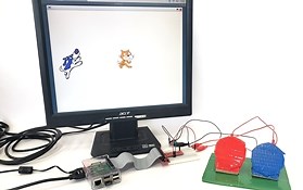 Build an Adaptive Game Controller for a Raspberry Pi | Science Project