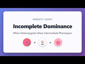 Incomplete Dominance Explained: When Traits Blend Together | Heredity & Genetics
