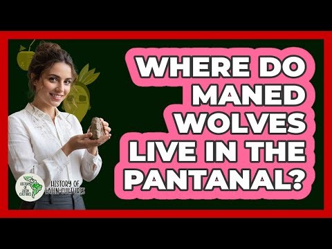 Where Do Maned Wolves Live In The Pantanal?