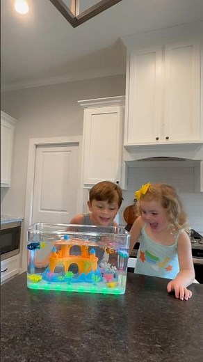 The Robo Alive Fish Tank is a mesmerizing robotic aquarium! #RoboAlive