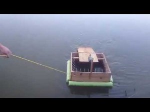 Turtle trap first check