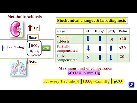 3: Metabolic Acidosis & Metabolic Alkalosis | Acid Base Balance | Biochemistry