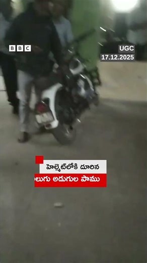 హెల్మెట్‌లోకి దూరిన నాలుగు అడుగుల పాము...