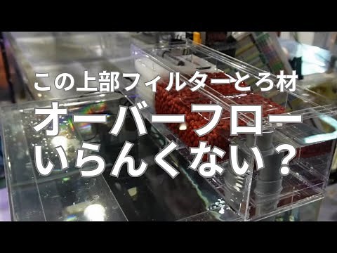 【ディスカス学校飼育部#4】ディスカスにとって一番適切なフィルターはどれ？店のディスカス水槽に使用しているオリジナル上部フィルターなどをご紹介します。 #アクアリウム #上部フィルター #熱帯魚