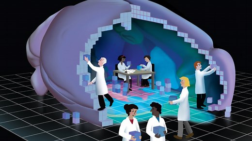 A new high-resolution, 3D map of the whole mouse brain