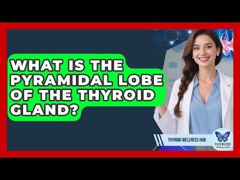 What Is The Pyramidal Lobe Of The Thyroid Gland? - Thyroid Wellness Hub