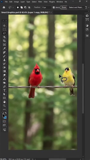 Graphic designer on Instagram: "Unlock your creative potential with pro Photoshop tips and tricks... #photoshop #design #logo #graphicdesigner #adobe illustration graphic frames"