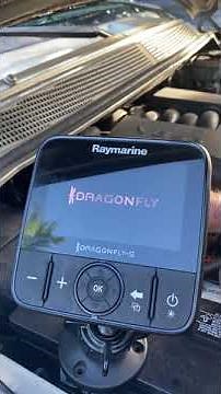 Ray marine Dragonfly-5