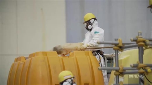 2.6K views · 59 reactions | Japan is trying frantically to shore up...