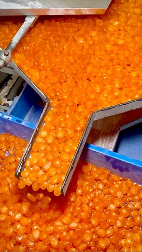 Orange Candy Making Complete Procces | Factory Made India
