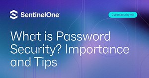 What is Password Security? Importance and Tips