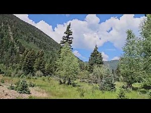 RIVERFRONT - Gorgeous Mountain Cabin for sale in Jasper, CO on 53 riverfront acres. Water Rights!