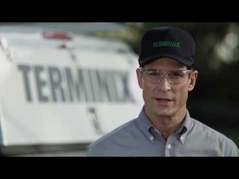 Why Choose Terminix for Termite and Pest Control