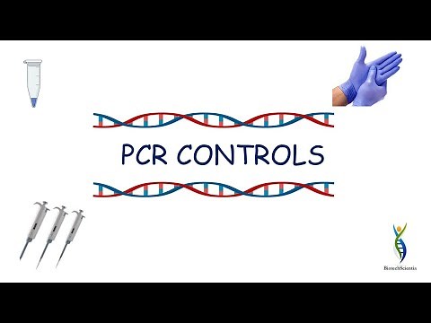 PCR CONTROLS | TYPES OF PCR CONTROLS