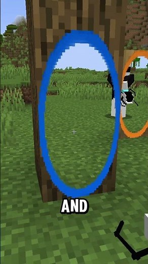 this mod adds PORTAL GUN to MINECRAFT!