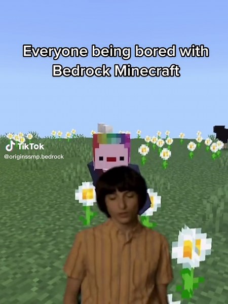 Join Origins SMP for Unique Minecraft Adventures