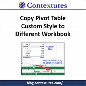 Copy a Pivot Table Custom Style to Different Workbook - Contextures Blog