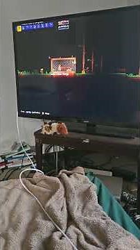 tmodloader on steam deck works good