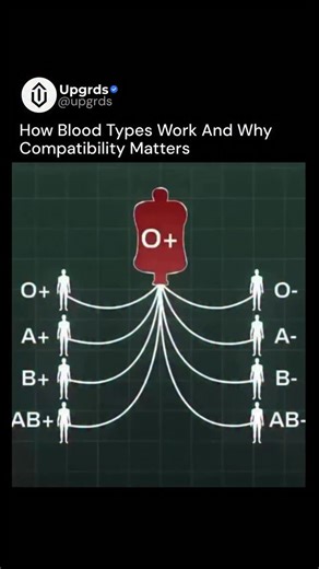 Upgrds on Instagram: "Blood types are determined by tiny molecules called antigens that sit on the surface of red blood cells. Think of them as ID tags. Your immune system uses these markers to decide which cells belong in your body, and which don’t. The main classification is the ABO system: Type A has A antigens Type B has B antigens Type AB has both Type O has neither There’s also the Rh factor, which indicates whether a specific protein is present (+) or absent (–). So: A+ has A antigens and