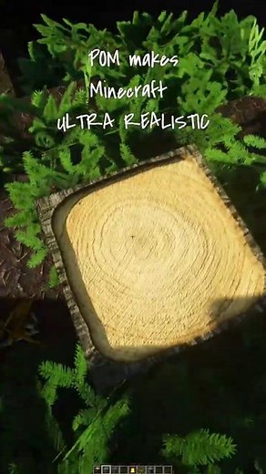 POM makes Minecraft ULTRA REALISTIC / DOWNLOAD texture pack with POM support #realistictexturepack