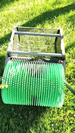 How to get the acorns out of your yard. #acorns #gardening #garden #sustainability #grill #corn