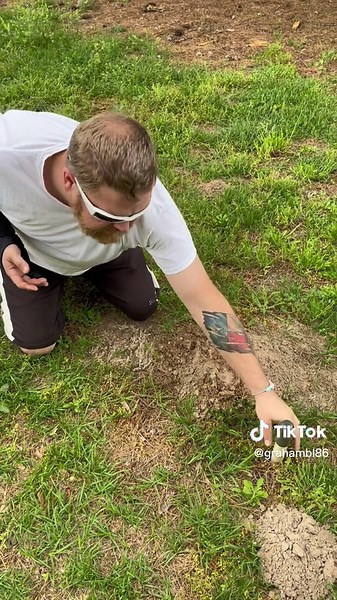 Gopherhawk gopher trap system