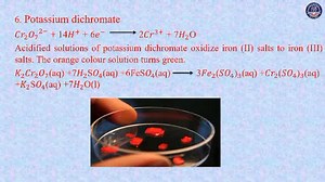 Myanmar Basic Education Home on Reels