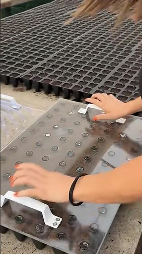 Seed Planting – The First Step to a New Harvest #satisfying ‪@MNSmartTech‬